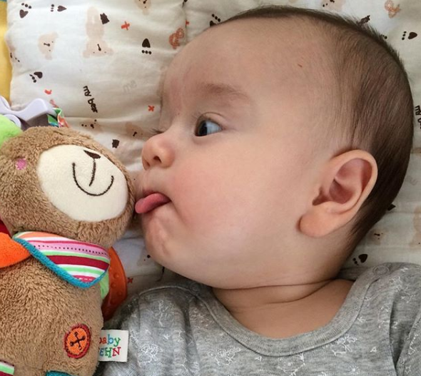 美国卡车多少美元_美国集卡车板费_美国卡车报废标准