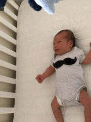 美国集卡车板费_美国卡车多少美元_美国卡车报废标准