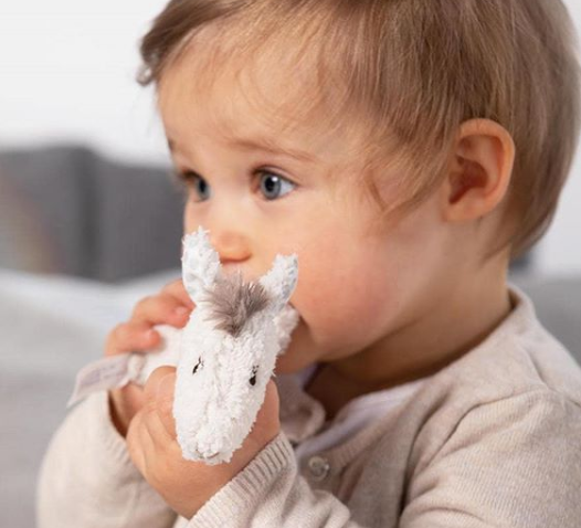 美国卡车报废标准_美国卡车多少美元_美国集卡车板费