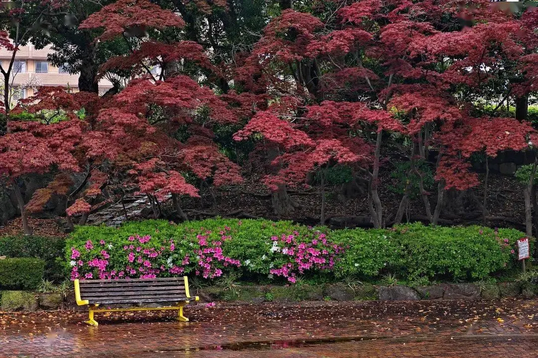 特价机票税费_赴日游性价比提升_日本旅游激增