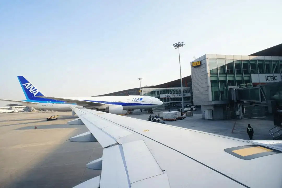 特价机票税费_日本旅游激增_赴日游性价比提升