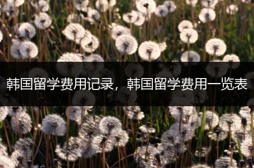 韩国留学费用记录,韩国留学费用一览表(图1) 韩国留学费用记录,韩国留学费用一览表