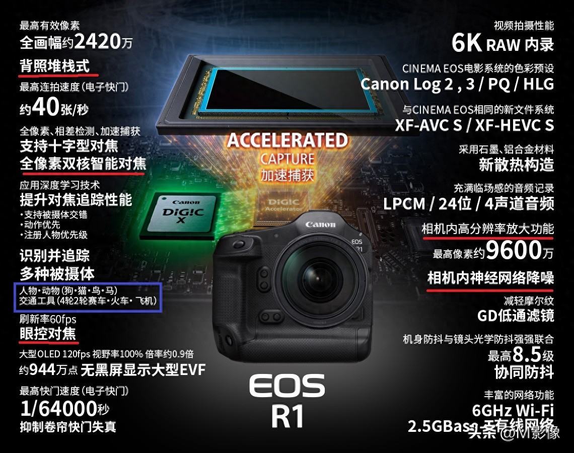 佳能2025年将要发布的专微相机，EOS R3II、R6III、R7II及EOS RC
