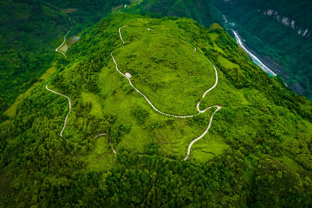 农业的未来发展方向:笑谈绿色革命的新篇章(图4) 垂直农业城市应用_智慧农业发展趋势_无公害农业 第二次绿色革命