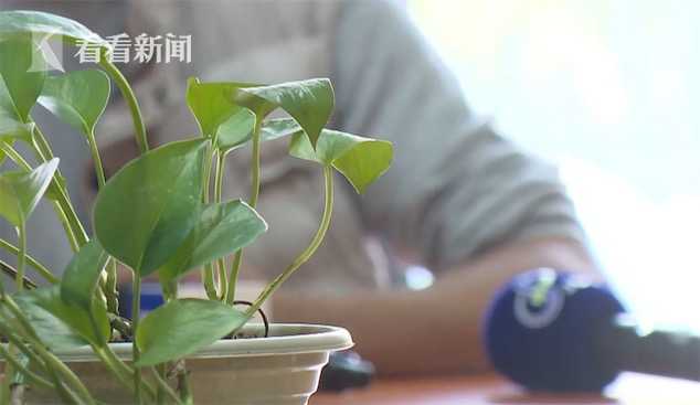 情人给我借钱__ 夫妻入狱妻子出轨情人盗刷 