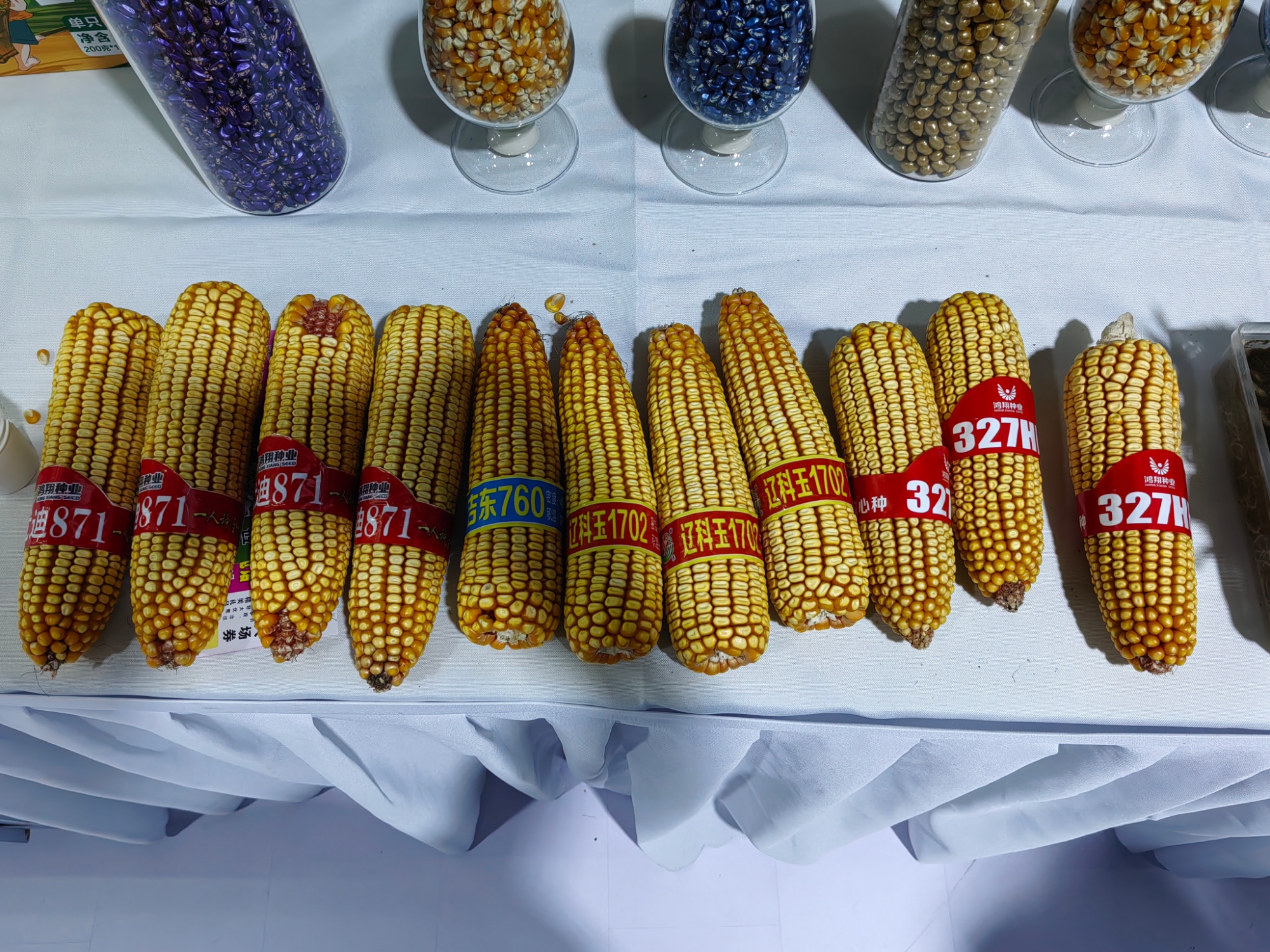 农业科技创新成果推广_长春国际农业食品博览会_吉林长春国家农高区科技成果展