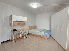 甜水园北里中楼层1居室,有电梯南北通透,交通便利商圈发达(图71) 北京朝阳甜水园道家园小区 3室1厅1卫 20平 电梯房出租房源真实图片