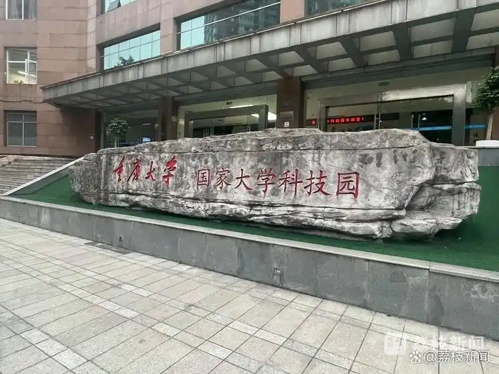 知识产权地方行｜让“知产”变“资产” 看科技成果转化的“重大模式”