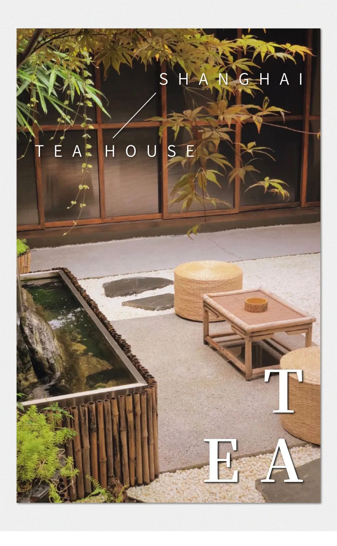 魔都时髦茶艺大赏，难怪让人无法拒绝