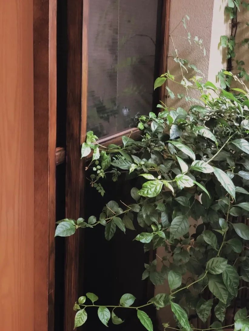 魔都时髦茶艺大赏,难怪让人无法拒绝(图11) 开间茶馆装修图片_中式复古茶馆推荐_上海老洋房茶社