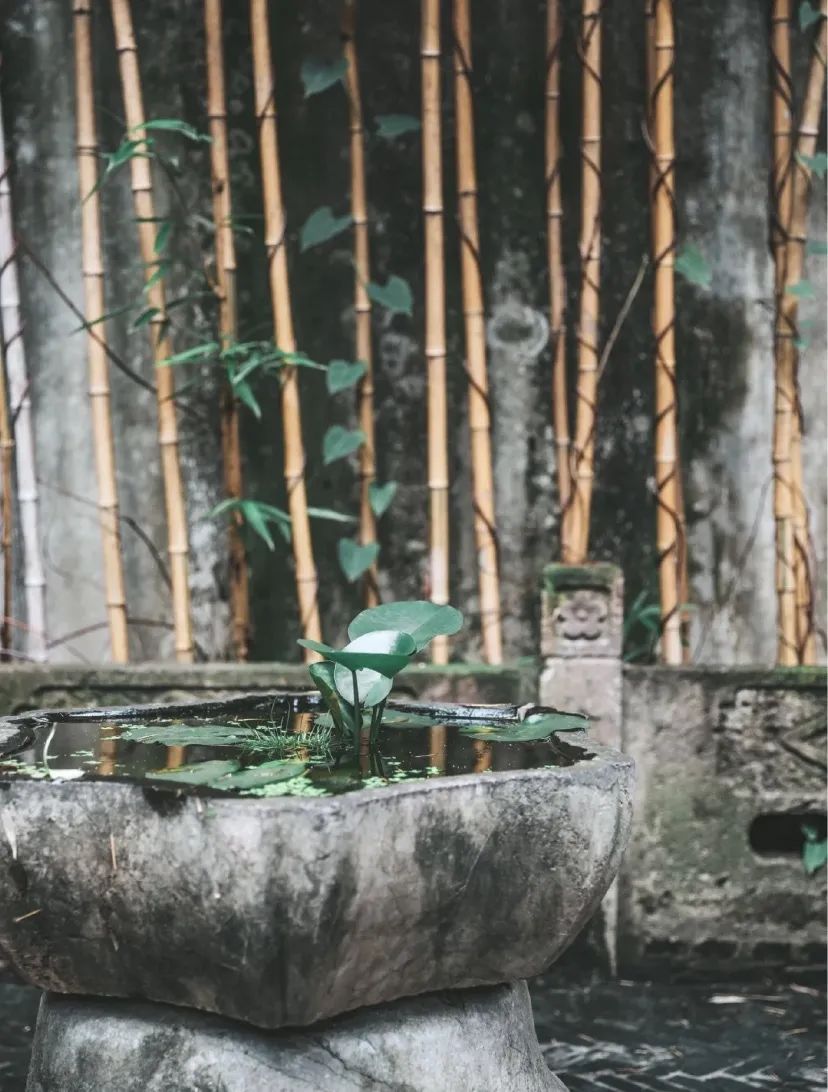 魔都时髦茶艺大赏,难怪让人无法拒绝(图16) 中式复古茶馆推荐_上海老洋房茶社_开间茶馆装修图片