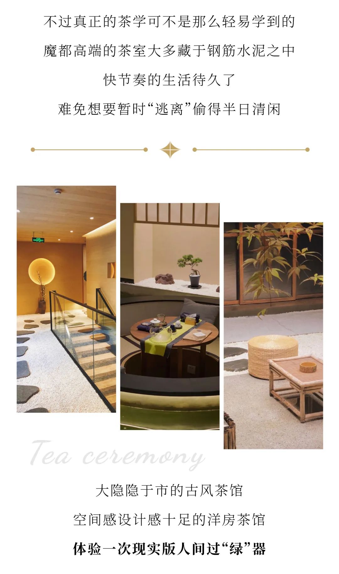 魔都时髦茶艺大赏,难怪让人无法拒绝(图3) 上海老洋房茶社_开间茶馆装修图片_中式复古茶馆推荐