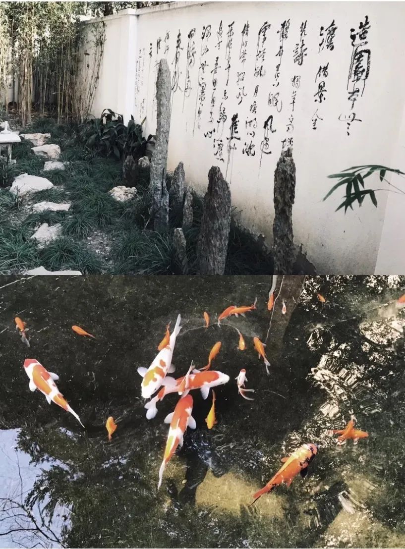 魔都时髦茶艺大赏,难怪让人无法拒绝(图26) 中式复古茶馆推荐_上海老洋房茶社_开间茶馆装修图片