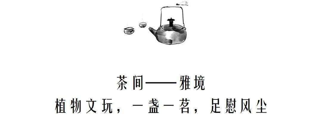 有一种美,叫做新中式茶室设计(图2) 文人茶室设计_开间茶馆装修图片_京瓷禅意茶室