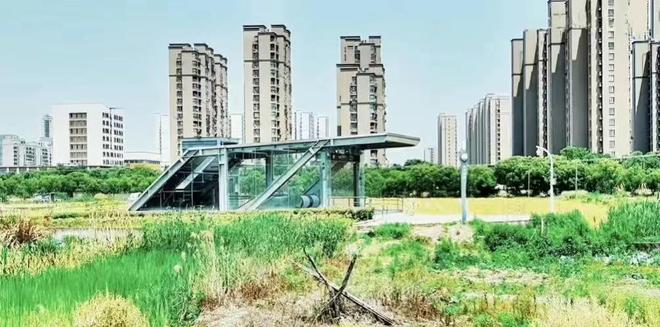 地铁涨价打工人如何应对_杭州地铁4号线票价_中国地铁大撤退城市竞赛影响