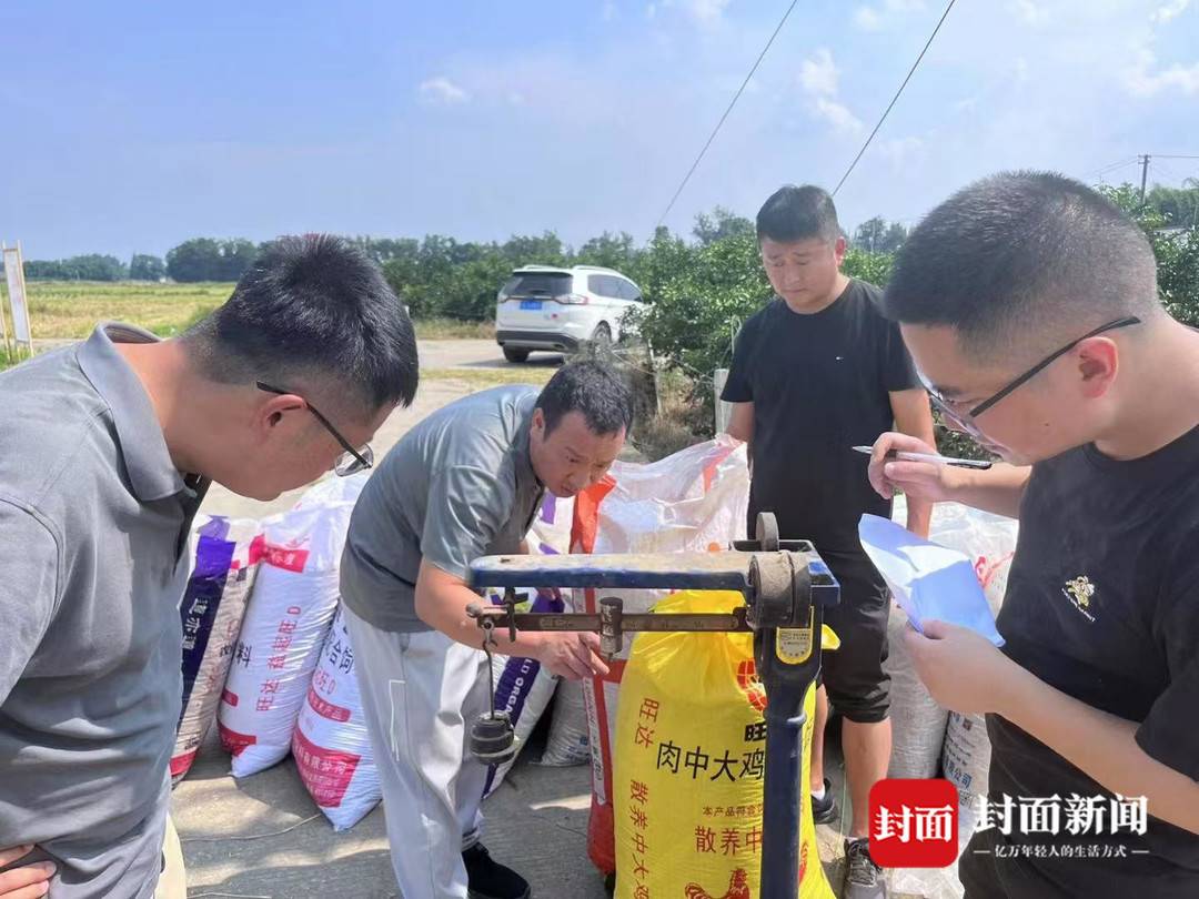 “稻坚强”来了 节水抗旱水稻在成都亩产过千斤(图6) 节水抗旱稻 成都平原 大规模推广_水稻亩产收益