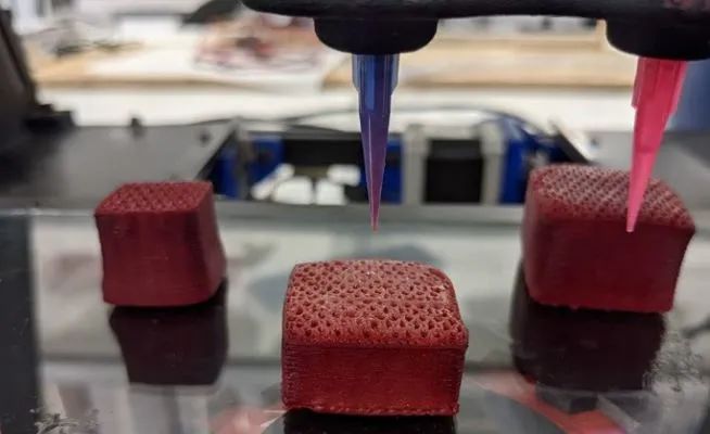 3D打印食品的技术、原材料、优劣势以及面临的挑战(图7) 3d打印fdm技术_3D食品打印机应用场景_3D打印食品工艺