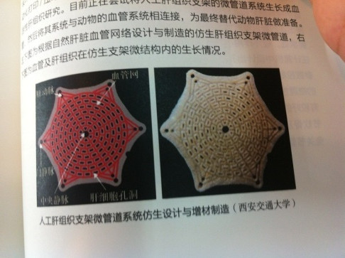 中国数字科技馆(图34) 3D打印应用领域_3D打印技术原理_3d打印fdm技术