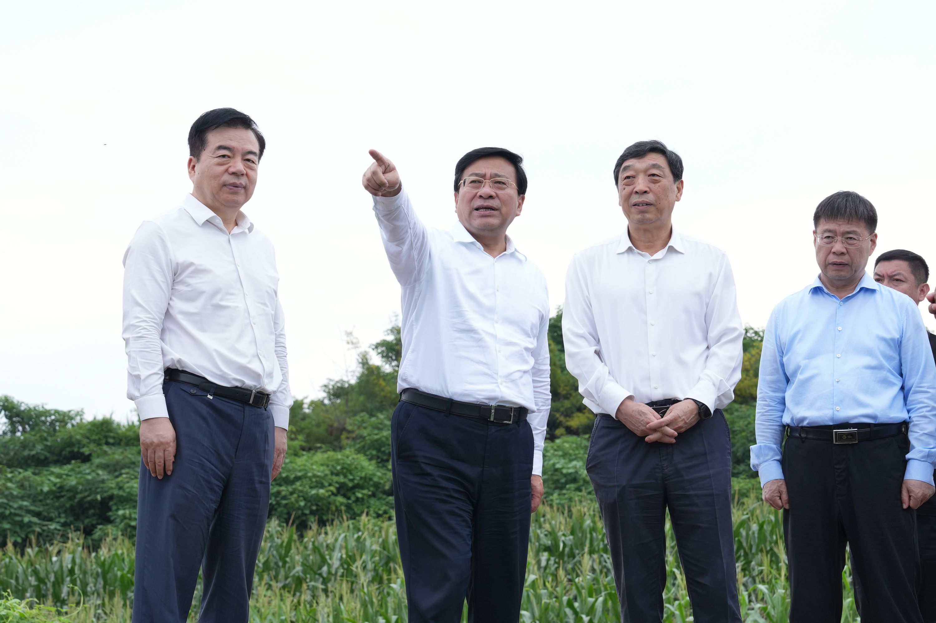 韩俊在河北调研时强调 全力以赴夺取秋粮丰收 大力推动智慧农业发展