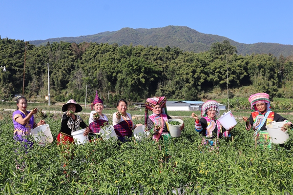 德宏：抓经济 惠民生 固边防