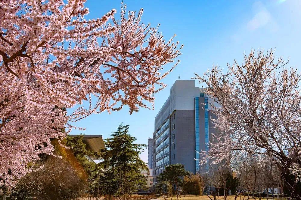 华北科技学院:位于河北廊坊三河燕郊开发区,应急管理部直属高校(图6) 华北科技学院招生计划_燕郊华北科技学院学费_华北科技学院专业设置