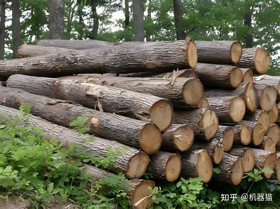 2025年实木家具怎么选?3分钟带你速览实木家具避坑点!源氏木语成功下车攻略+参考答案!(图11) 实木家具品牌推荐_实木家具选购指南_家具 标准