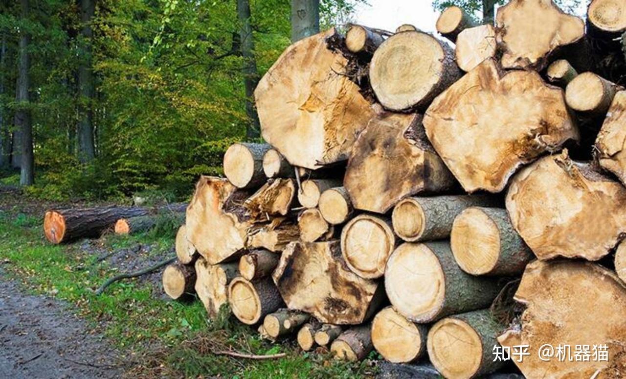 2025年实木家具怎么选?3分钟带你速览实木家具避坑点!源氏木语成功下车攻略+参考答案!(图21) 家具 标准_实木家具选购指南_实木家具品牌推荐