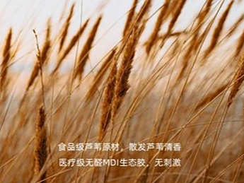 时尚家居(图2) 环保板材怎么挑?来看看这份装修指南避雷