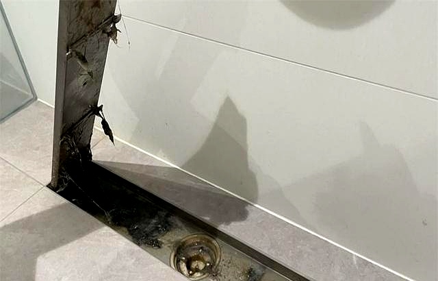 可惜装修不能重来,否则我发誓,卫生间绝对不去跟这7处风(图6) 卫生间瓷砖用美缝吗_卫生间清洁神器_壁龛防霉地漏推荐