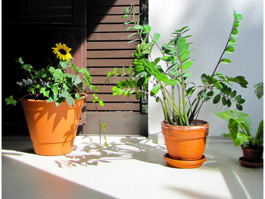 卫生间、阳台美缝首选,非TA莫属(图3) 卫生间阳台美缝必要性_卫生间瓷砖用美缝吗_聚脲美缝耐黄变原理