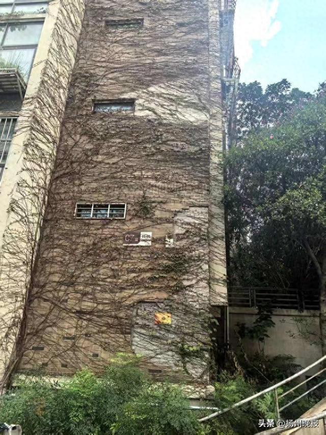 扬州申请住宅应急维修资金指南出台