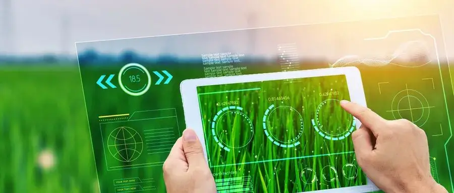 智库论道丨白音：我国农业生产方式变革的基本趋势：新型农村集体经济