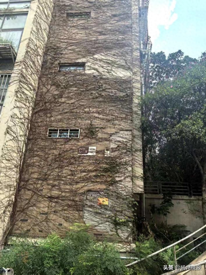 扬州申请住宅应急维修资金指南出台