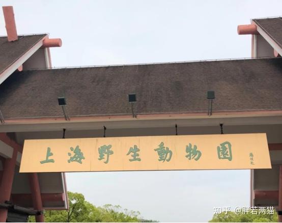 上海旅行最新全攻略,交通+住宿+美食+景点超全(图29) 上海旅游攻略_上海景点推荐_上海 二手房部分翻新