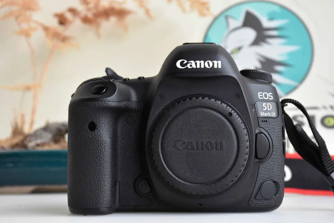 二手6D|5D3|5D4,谁更超值?(图3) 佳能5d3边缘对焦_佳能单反相机二手市场保值率分析_二手佳能6D 5D3 5D4价格成色推荐