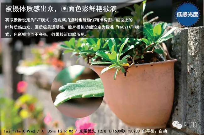 享受APS-C画幅高画质摄影乐趣(图15) 最新款APS-C画幅相机画质演进_数码单反摄影圣经_APS-C画幅相机评测