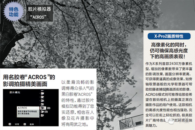 享受APS-C画幅高画质摄影乐趣(图16) APS-C画幅相机评测_最新款APS-C画幅相机画质演进_数码单反摄影圣经