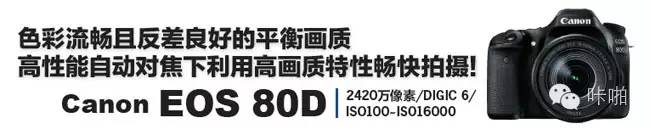 享受APS-C画幅高画质摄影乐趣(图2) 最新款APS-C画幅相机画质演进_APS-C画幅相机评测_数码单反摄影圣经