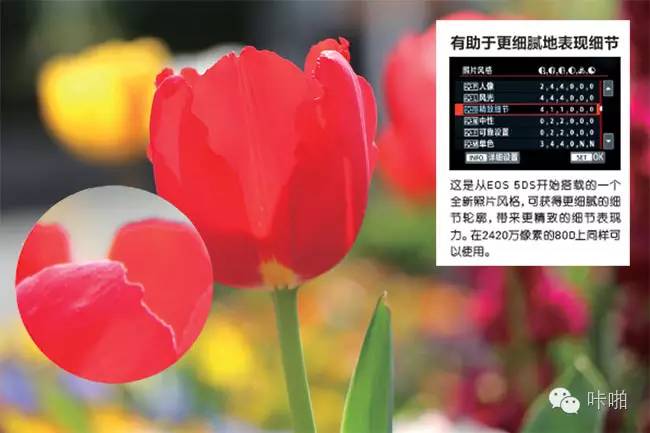 享受APS-C画幅高画质摄影乐趣(图3) 数码单反摄影圣经_最新款APS-C画幅相机画质演进_APS-C画幅相机评测