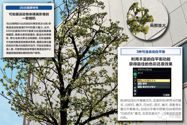 享受APS-C画幅高画质摄影乐趣(图8) 最新款APS-C画幅相机画质演进_数码单反摄影圣经_APS-C画幅相机评测