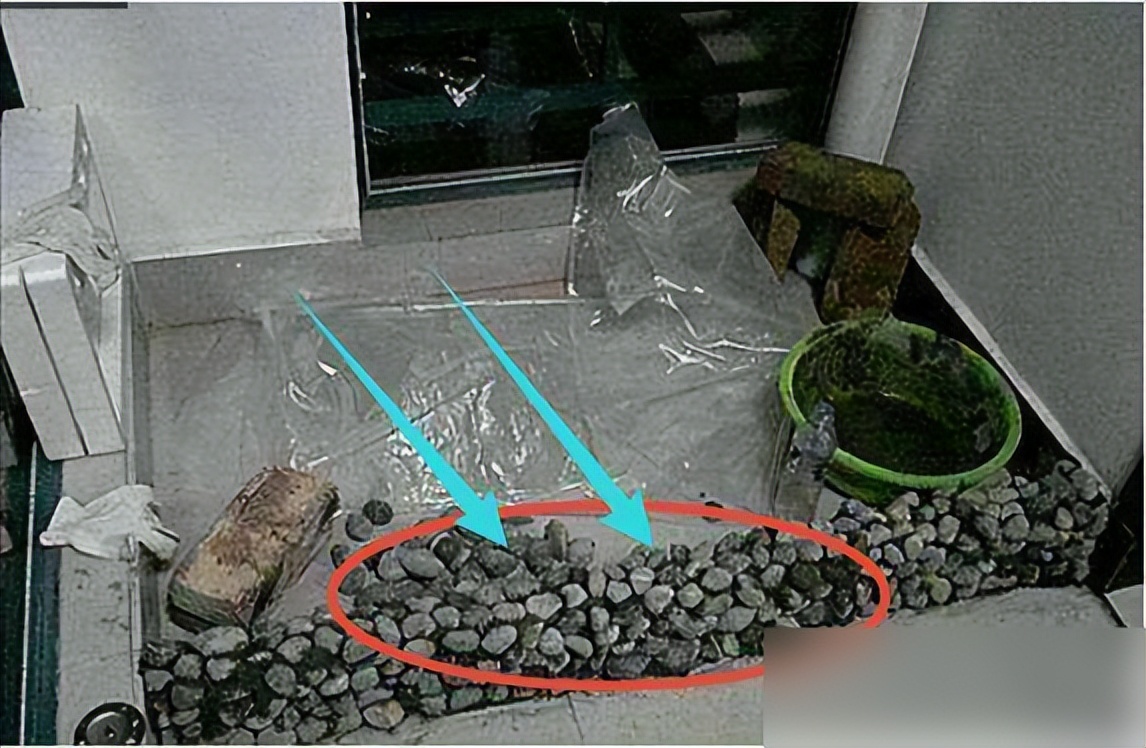 把自家阳台做了鱼池,晒到业主群,楼下马上找上门来吵架了!(图2) 弧形鱼池设计美观性_DIY阳台鱼池制作教程_阳台鱼池装修效果图