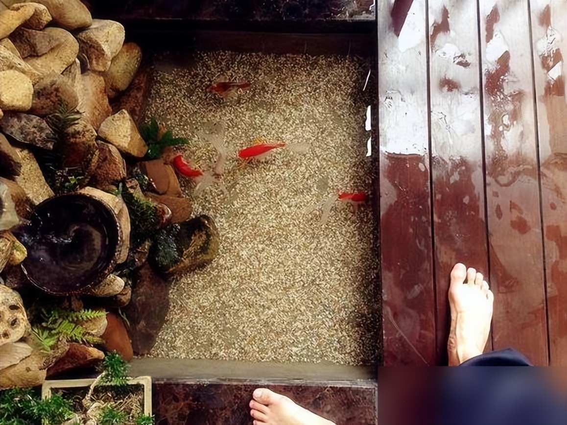 在阳台上砌个鱼池,成本只花200元,亲戚朋友们都眼红了!(图5) 阳台鱼池装修效果图_阳台鱼池教程_200元阳台鱼池做法