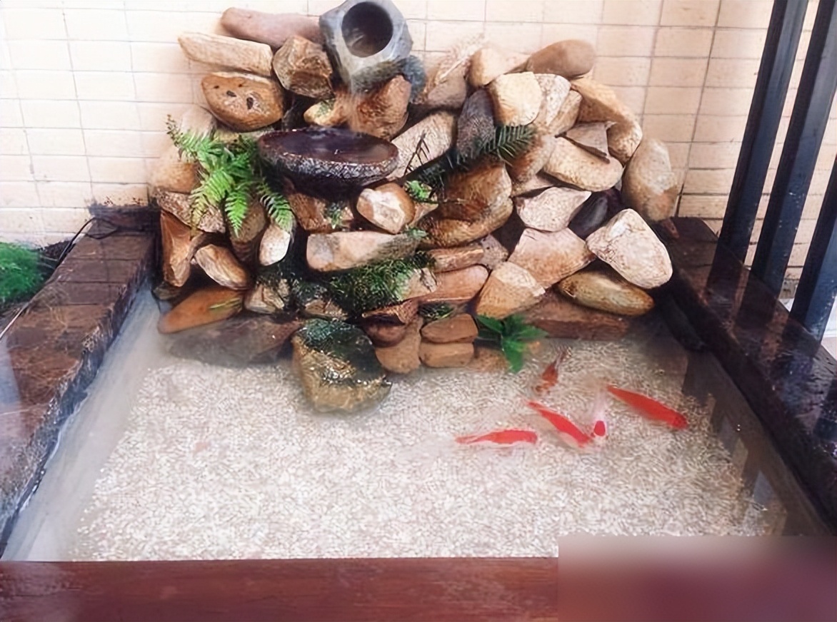 在阳台上砌个鱼池,成本只花200元,亲戚朋友们都眼红了!(图7) 阳台鱼池教程_阳台鱼池装修效果图_200元阳台鱼池做法