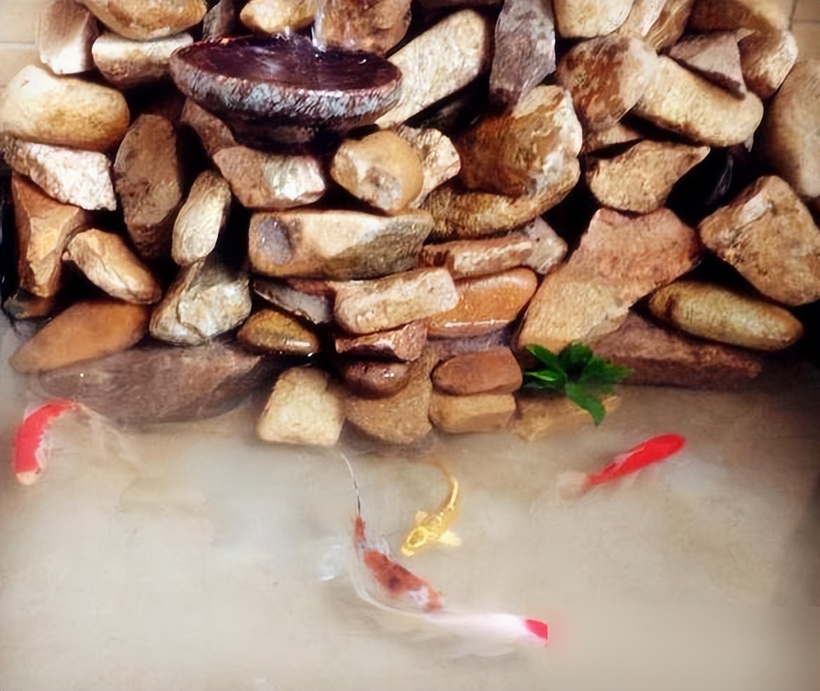 在阳台上砌个鱼池,成本只花200元,亲戚朋友们都眼红了!(图8) 阳台鱼池教程_200元阳台鱼池做法_阳台鱼池装修效果图