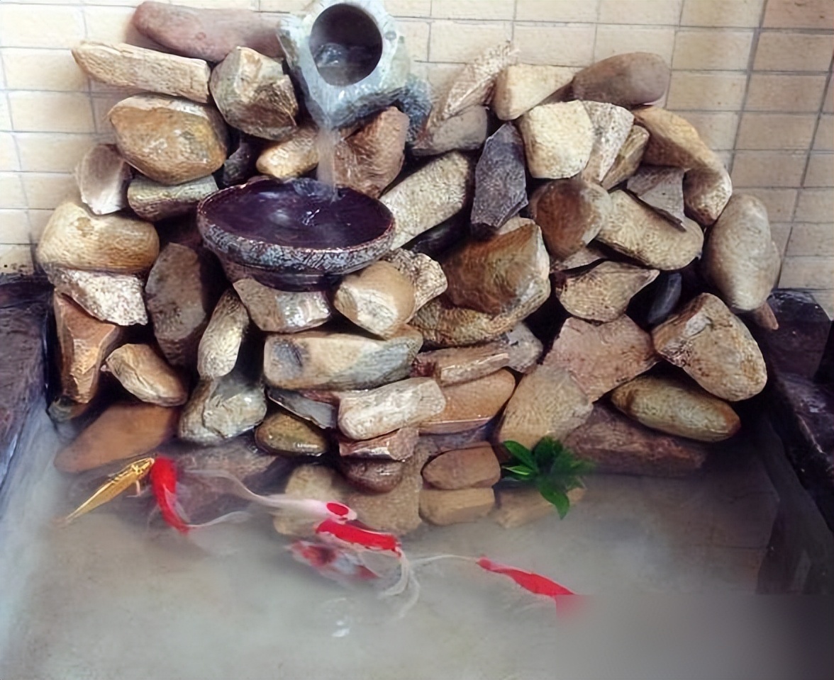 在阳台上砌个鱼池,成本只花200元,亲戚朋友们都眼红了!(图10) 200元阳台鱼池做法_阳台鱼池装修效果图_阳台鱼池教程