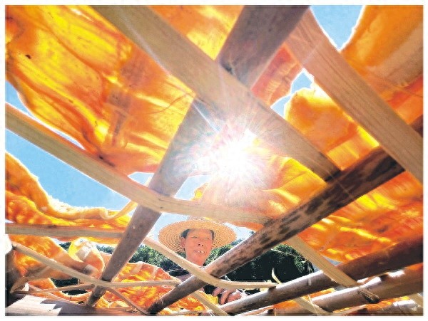 恭城：山珍美味正当时