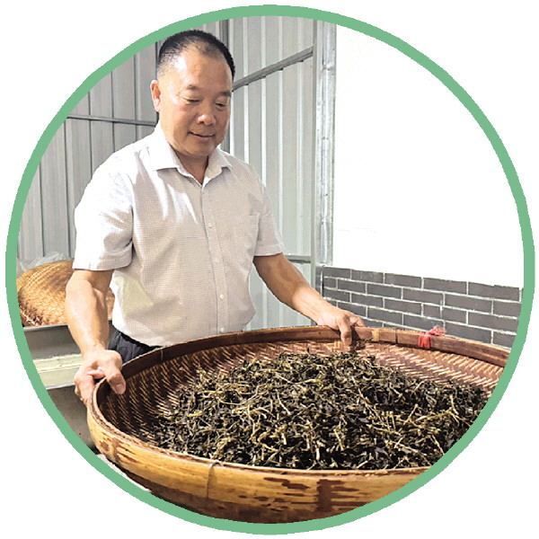 《恭城瑶族自治县恭城油茶产业发展条例》6月1日起实施,恭城油茶产业将迎来哪些利好?(图2) 恭城油茶原材料基地建设扶持_恭城油茶产业发展条例_恭城农业信息网