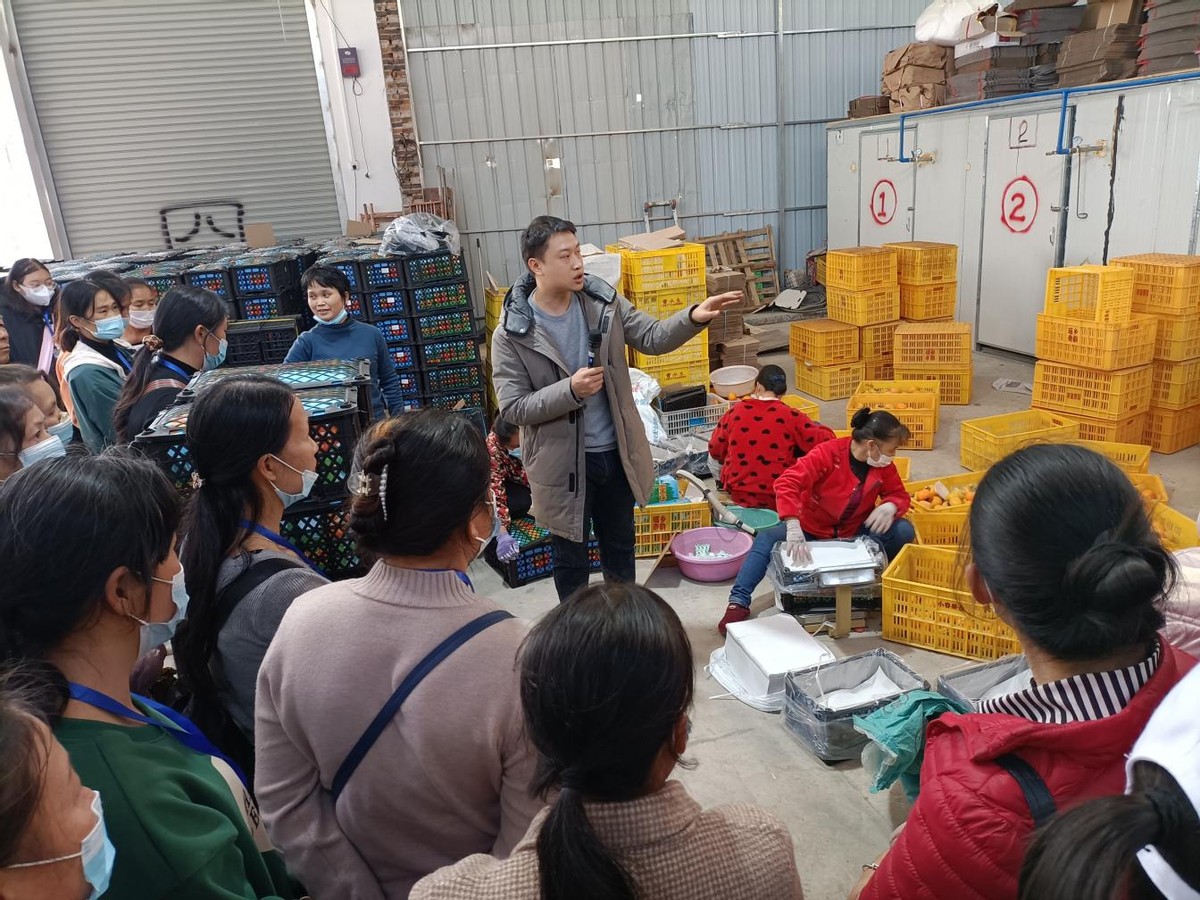 冬闲充电培育高素质农民增技赋能助推乡村全面振兴(图2) 乡村振兴人才培养模式_恭城高素质农民培训_恭城农业信息网