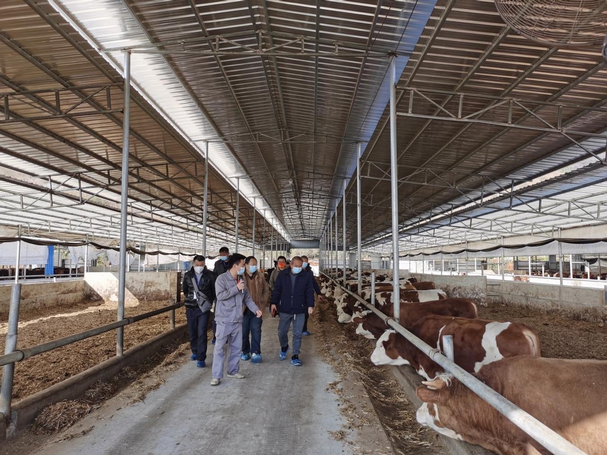 冬闲充电培育高素质农民增技赋能助推乡村全面振兴(图3) 恭城高素质农民培训_恭城农业信息网_乡村振兴人才培养模式