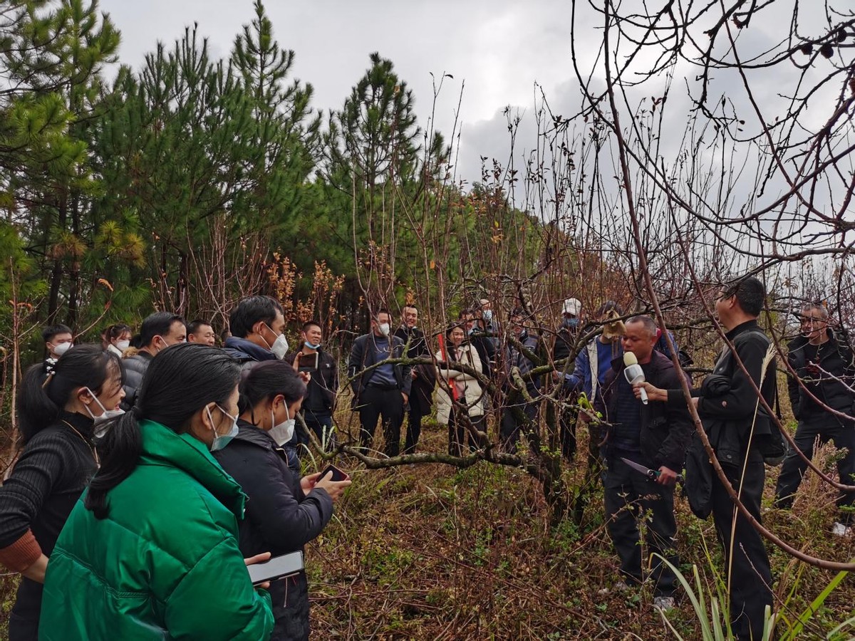 冬闲充电培育高素质农民增技赋能助推乡村全面振兴(图4) 乡村振兴人才培养模式_恭城农业信息网_恭城高素质农民培训